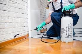 Best Termite Inspection and Treatment  in Durand, MI